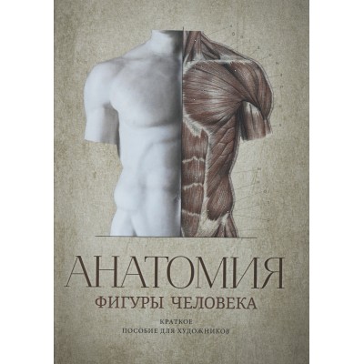 Анатомия фигуры человека. Краткое пособие для художников