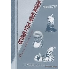 Острый угол жизни. Мысли вокалиста.